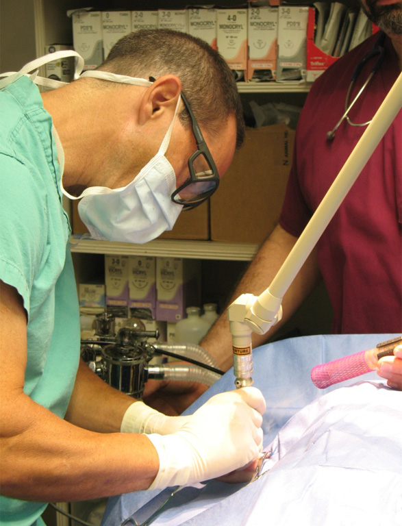 Surgical FAQ's | Veterinarian in Whitehouse, TX | Whitehouse Veterinary  Hospital